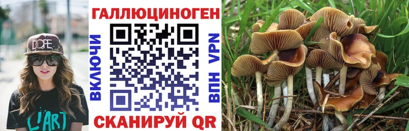 где купить наркоту Онега мега как зайти Галлюциногенные грибы Psilocybe